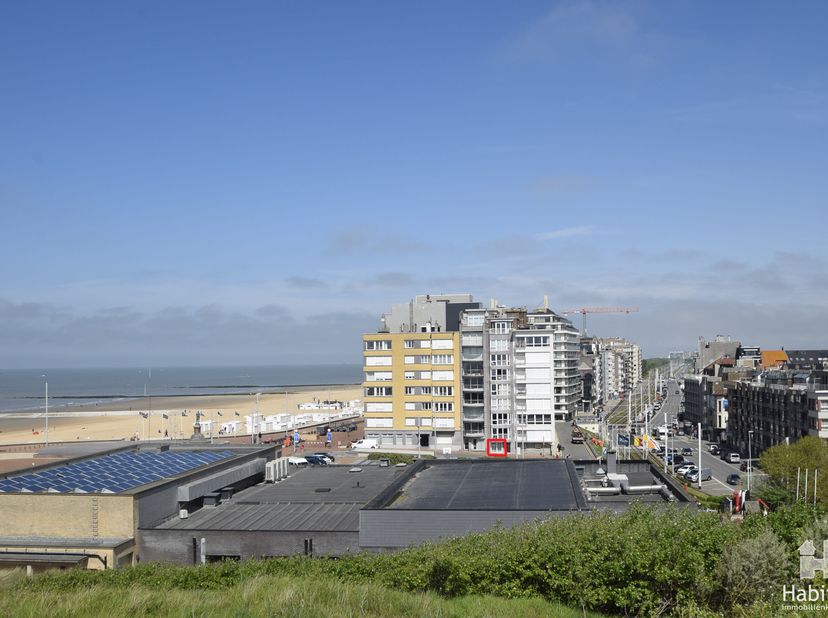 Lichtrijke vakantiestudio, op ongetwijfeld één van de mooiste liggingen van Wenduine; volledig zongericht, en op enkele passen van het strand, de duin