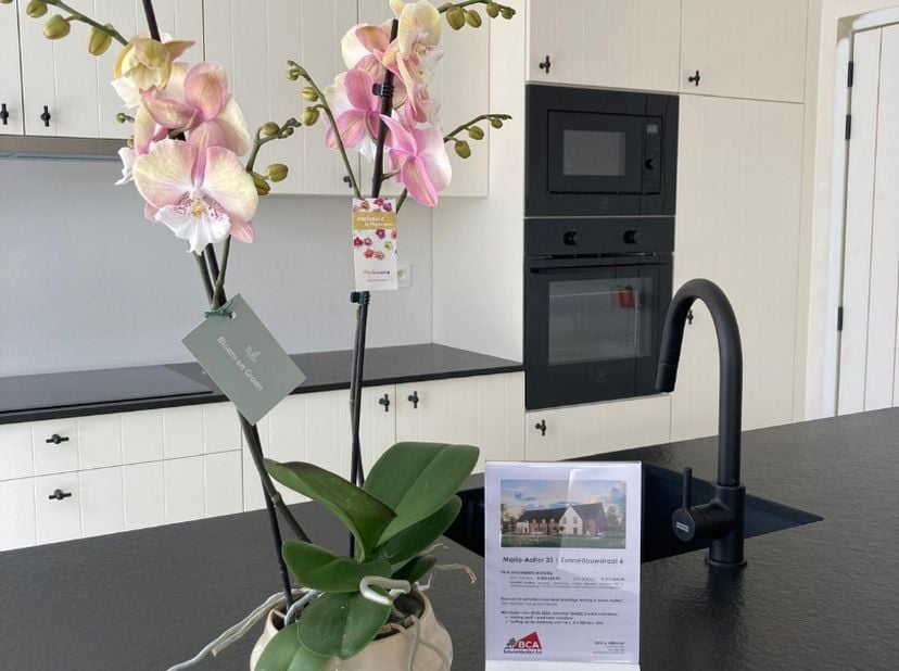 Maison à vendre
                    à 9880 Aalter
