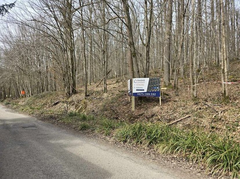 Magnifiques terrains à bâtir (3 lots) situés en plein cur du parc résidentiel Â La Forêt Â à proximité de Philippeville.Possibilité de construire jusq