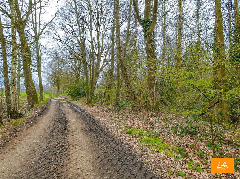 Il s&#039;agit d&#039;une forêt tranquille dans la commune d&#039;Oudsbergen (Meeuwen - Berenheide).&lt;br /&gt;
Le terrain est entouré de verdure et se trouve dans la rue