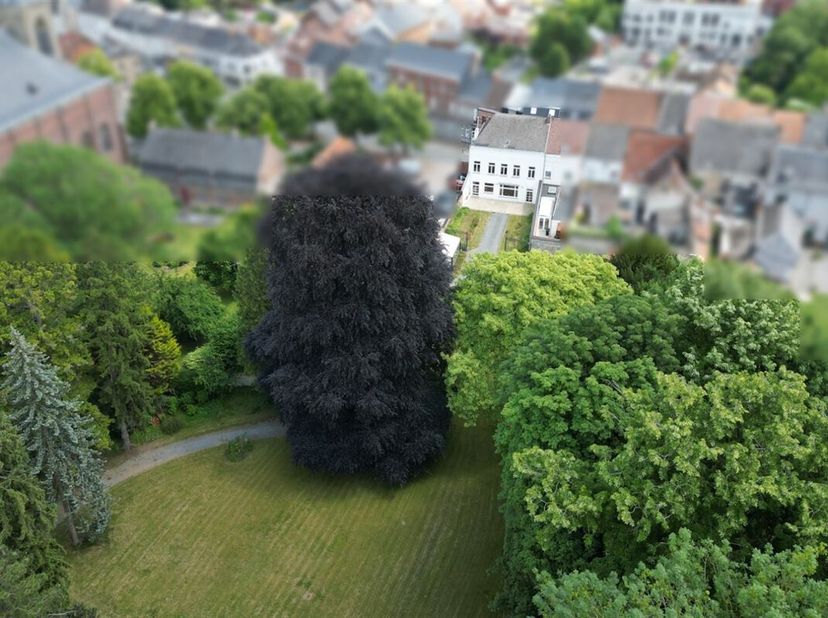 Nichée au centre de Péruwelz, cette magnifique propriété de charme vous séduira par son caractère authentique, son vaste parc arboré de près de 70 are