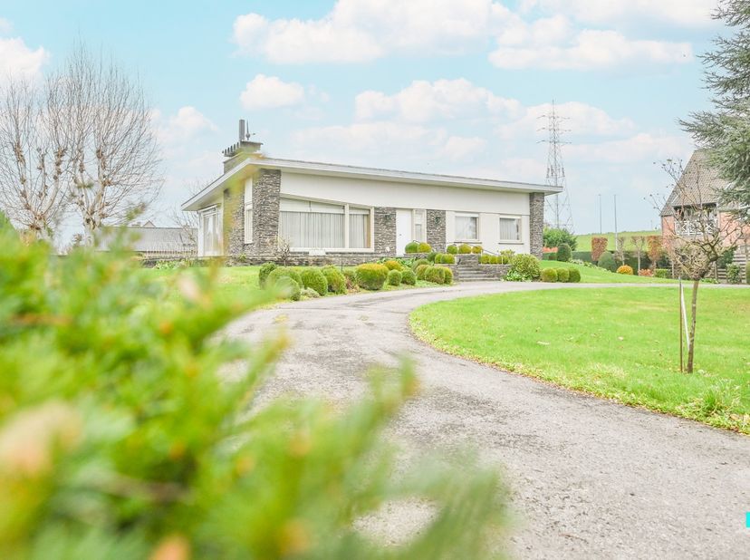 Te renoveren statige, gelijkvloerse villa met een bewoonbare oppervlakte volgens EPC-attest van 177m² (exclusief kelder van nog eens ca. 177m²) op een