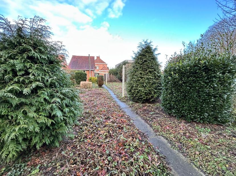 Deze charmante te renoveren woning in het rustige Maria-Aalter biedt tal van mogelijkheden om jouw droomhuis te creëren! Met de op heden drie ruime sl
