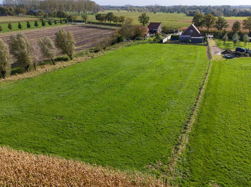 Maison à vendre
                    à 8730 Beernem