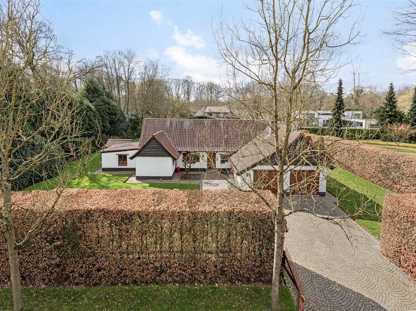 In een rustige, doodlopende straat in Schilde ligt deze instapklare villa op 2000m² grond met een ideale zuidwestelijke oriëntatie. Gelijkvloers wonen