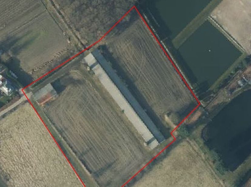 Voormalige legkippenstal op mooi stuk grond te koop te Begijnendijk&lt;br /&gt;
&lt;br /&gt;
Oppervlakte perceel : 1ha16are85ca&lt;br /&gt;
&lt;br /&gt;
Stal van 94 meter lan