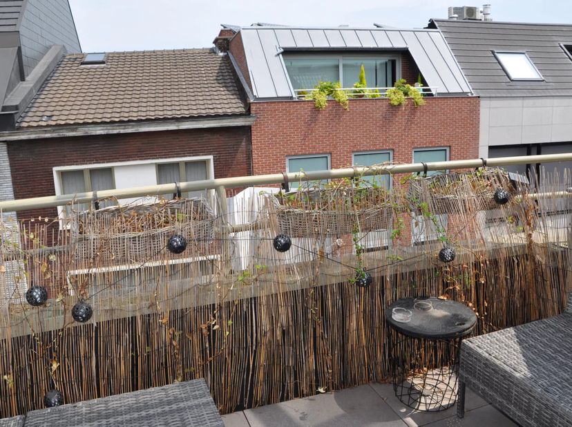 Appartement à louer
                    à 3740 Bilzen