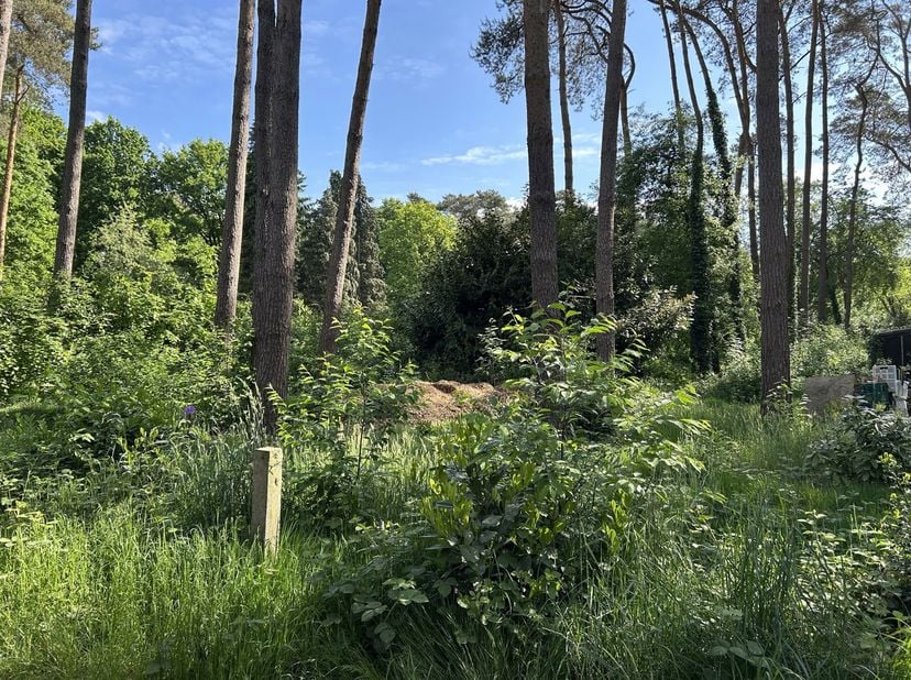 Beschrijving:Mooi perceel gelegen in een natuurlijke omgeving Halle/Zoersel.Kenmerken:Het betreffende perceel is gelegen in een gebied voor verblijfre