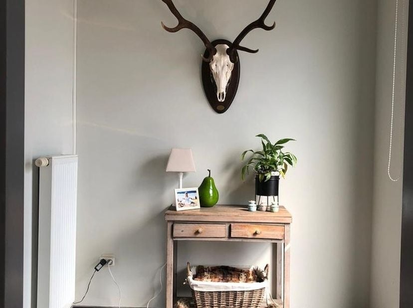 Dit ruim en gezellig gelijkvloers appartement vinden we terug op de Heerstraat te Pelt. Het appartement beschikt over een bewoonbare oppervlakte van m