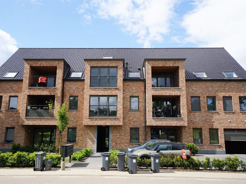 Appartement à louer
                    à 2440 Geel