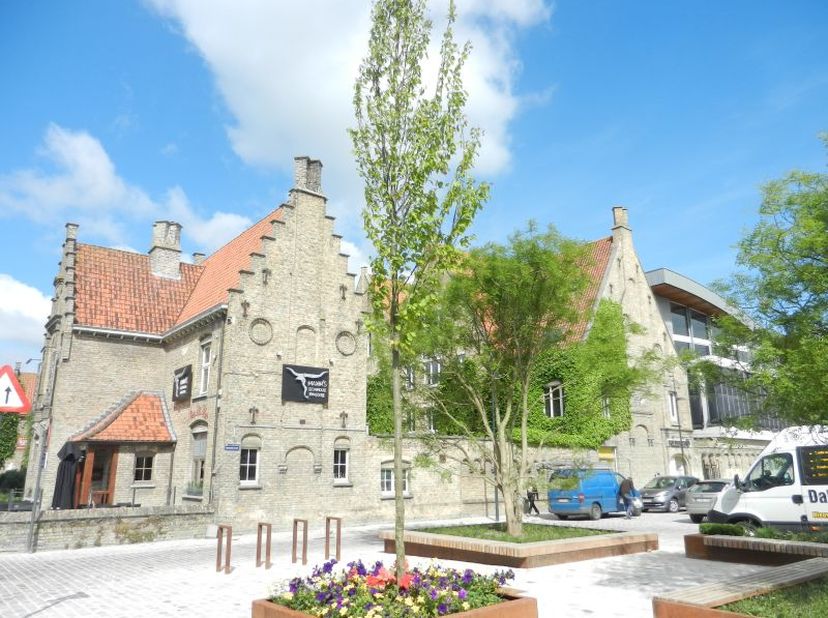 uitermate commercieel gelegen handelspand in hartje Diksmuide langs invalsweg, commerciële oppervlakte vanaf 200 m² tot 850 m², oppervlakte en prijs o
