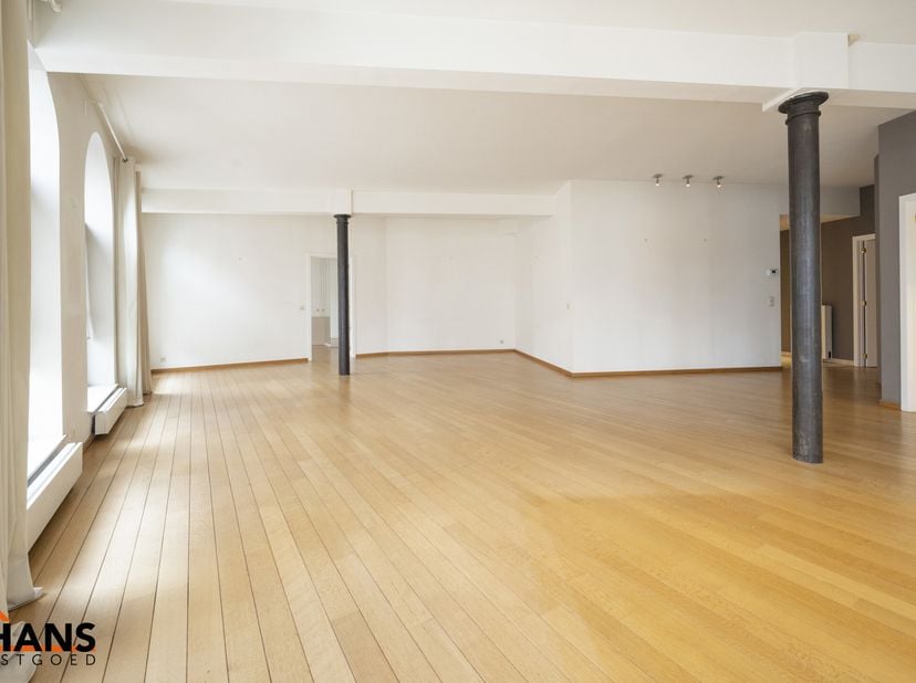 Inkomhal met vestiairekast; apart toilet met wastafel; riante, lichtrijke woonkamer van 80m² op een houten vloer met ingemaakte kasten; ruime keuken,