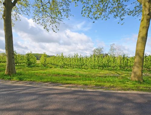                                         Terrain à bâtir à vendre à Hasselt, € 660.000
