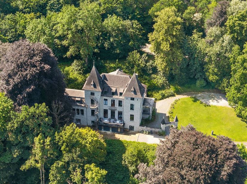 Castel Mosan - Prestigieus gebouw - Hotel de Maître&lt;br /&gt;
Dompel jezelf onder in absolute uitzondering: dit Castel Mosan uit 1638, een echt Hôtel de M