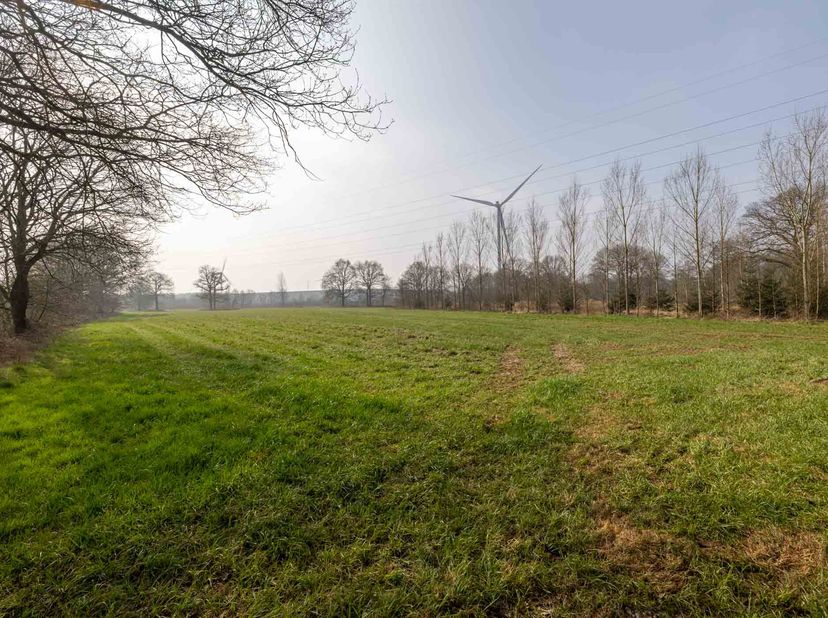 PERCEEL WEILAND &lt;br /&gt;
 &lt;br /&gt;
Perceel weiland (verpacht) gelegen te Ham (Oostham) - In Den Ulfort, nabij Olmensesteenweg, met een totale oppervlakte