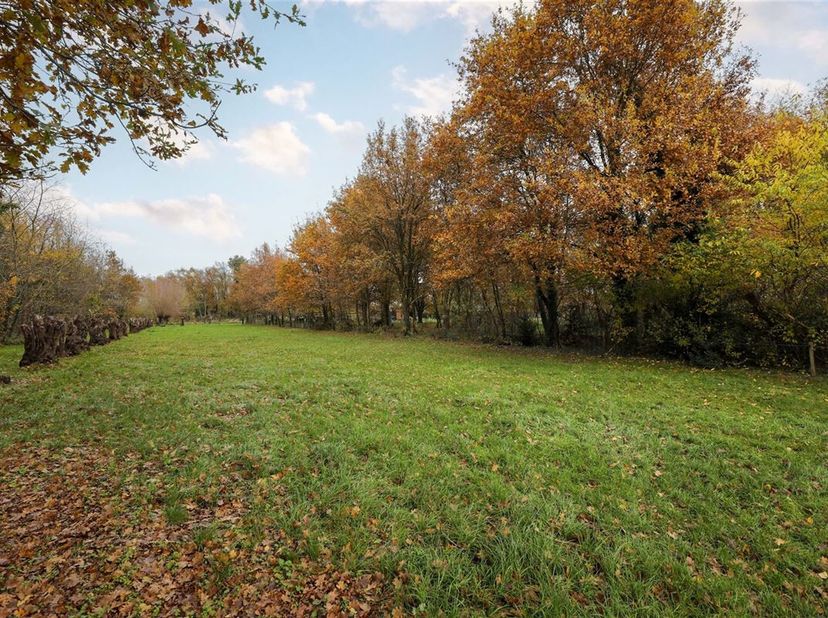 Terrain à vendre
                    à 3590 Diepenbeek