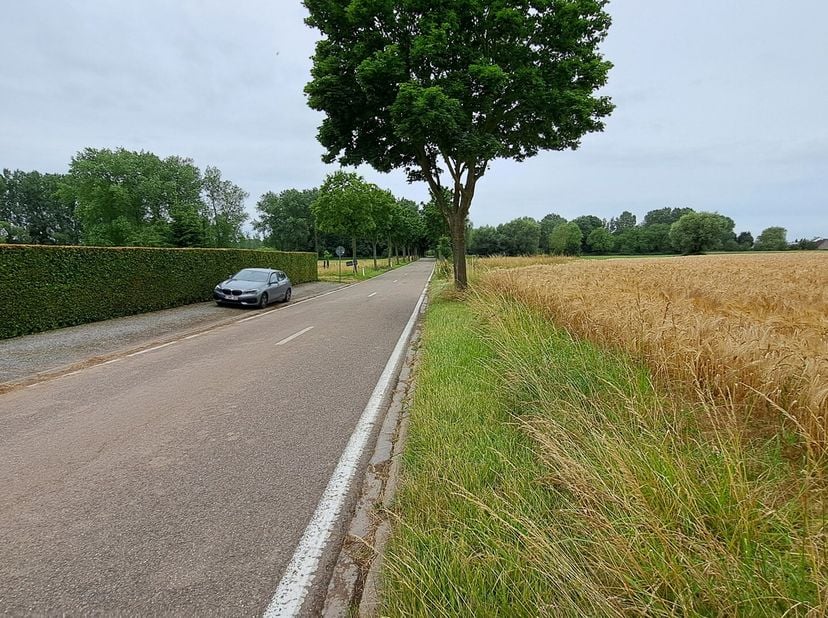 Prachtige bouwgrond voor halfopen bebouwing omgeven door agrarisch gebied met mooie verzichten. Het perceel heeft een oppervlakte van 14a 20ca met een