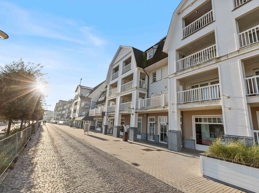 Bien professionnel à louer
                    à 8620 Nieuwpoort