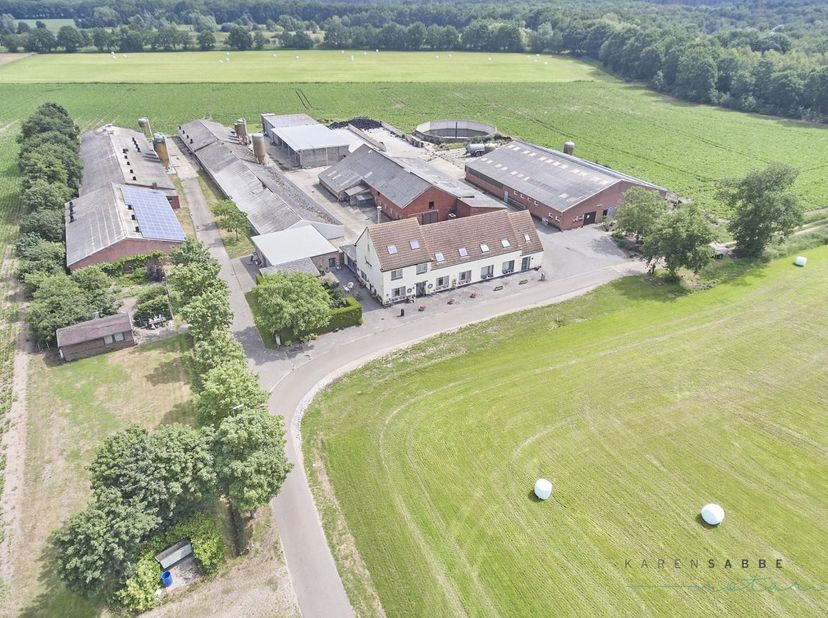 Zeer mooi gelegen hoeve te koop te Hamont-Achel met aanpalende gronden&lt;br /&gt;
&lt;br /&gt;
De hoeve bestaat uit volgende gebouwen :&lt;br /&gt;
- 2 ruime mooi inge