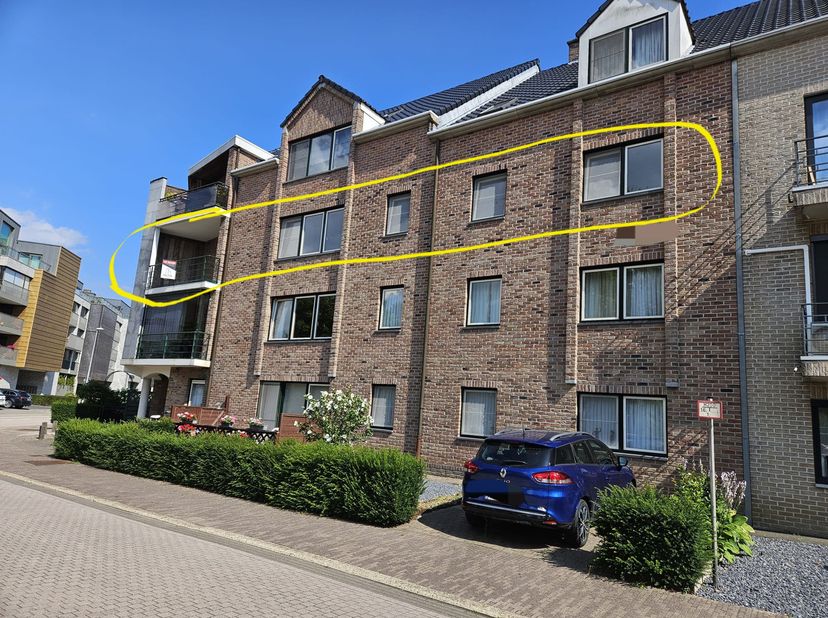 Appartement à louer
                    à 3900 Overpelt