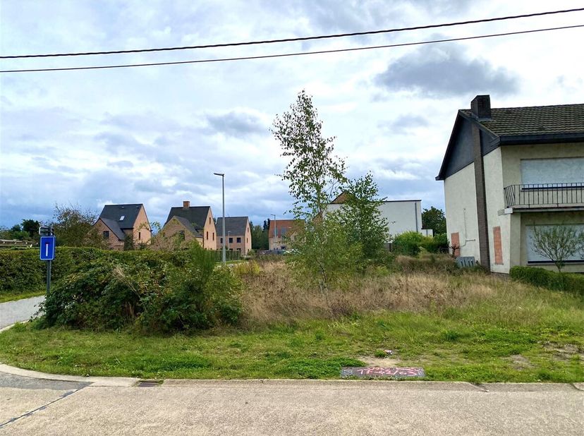 Terrain à vendre
                    à 2260 Westerlo