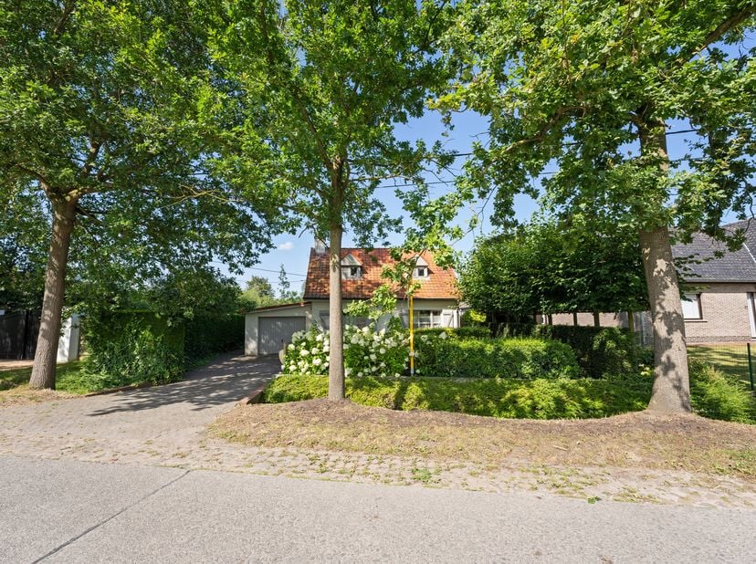 Maison à vendre
                    à 9992 Middelburg