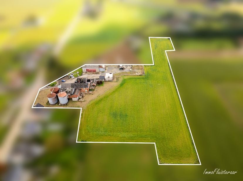 Te midden van het Hageland bevindt dit eigendom zich op slechts enkele minuten van de E314, een belangrijke snelweg die steden zoals Leuven, Aarschot,