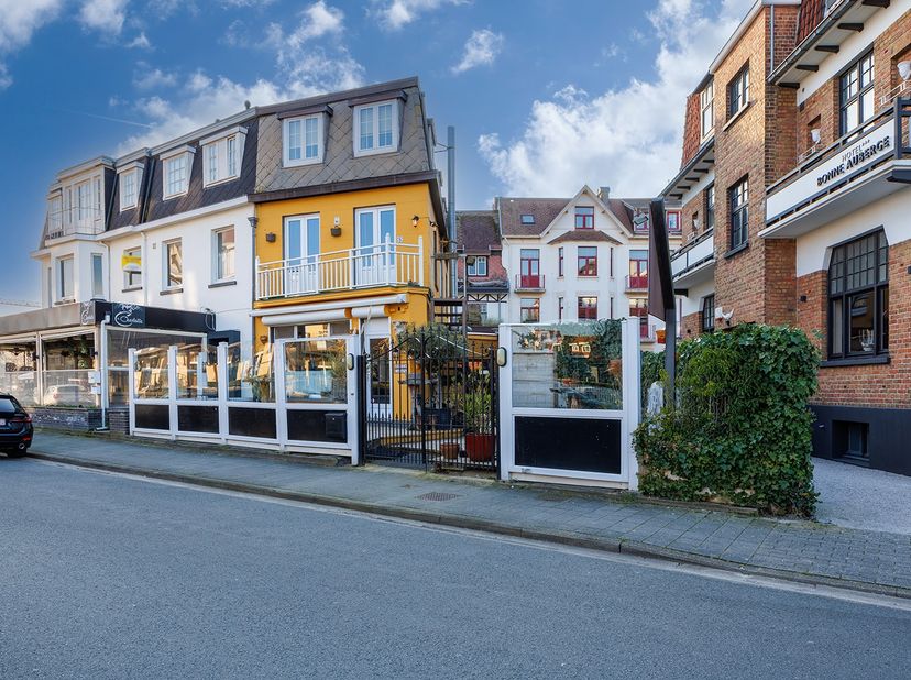 Bien professionnel à vendre
                    à 8420 Klemskerke