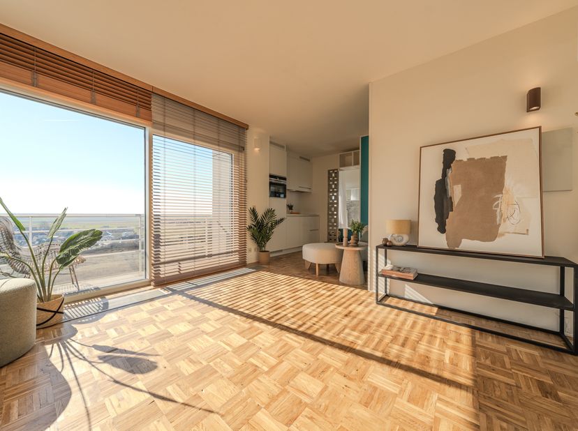 Découvrez ce studio de 27 m² magnifiquement rénové avec une terrasse orientée plein sud qui offre une vue imprenable sur les dunes et l&#039;arrière-pays.