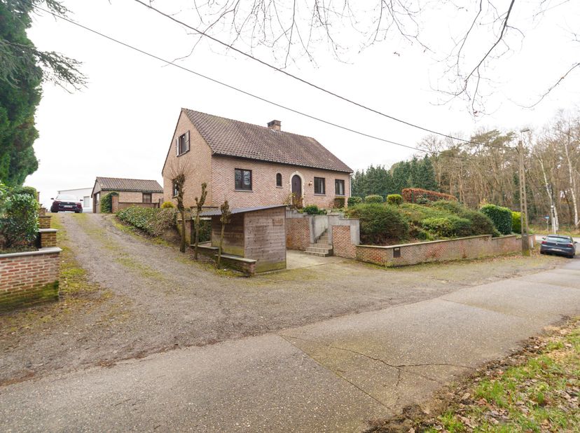 Maison à vendre
                    à 3201 Langdorp