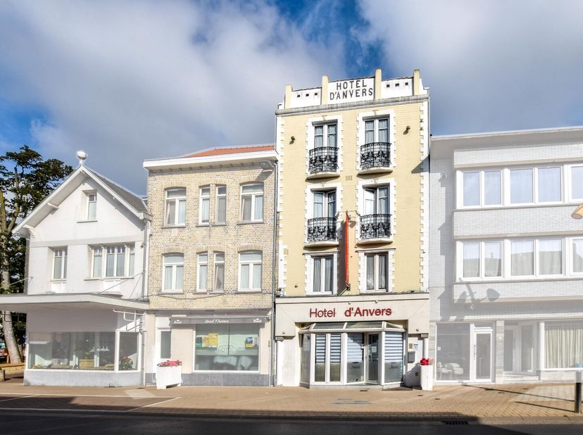 Bien professionnel à vendre
                    à 8660 De Panne