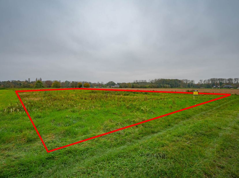 LOT 7 - &lt;br /&gt;
VENTE PUBLIQUE&lt;br /&gt;
Séance finale aura lieu le2024-12-11 à 16:30 &lt;br /&gt;
 à Brusselsesteenweg 472, 2800 Mechelen (cafe den Achtsten dag