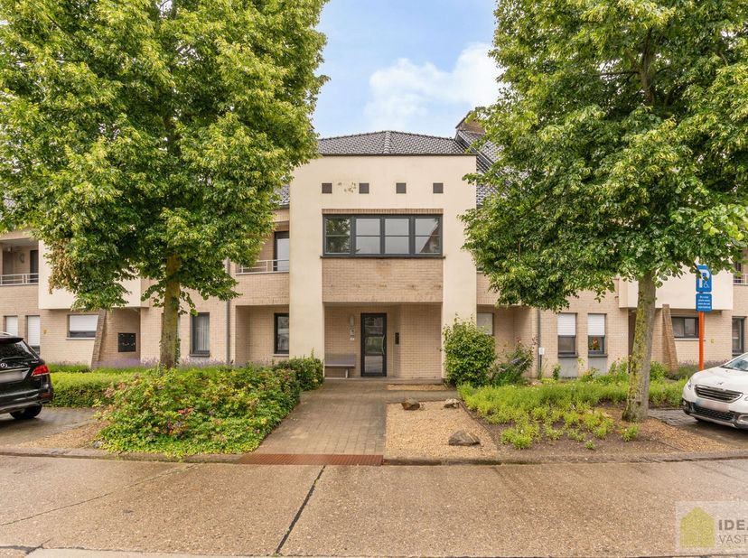 Appartement à louer
                    à 3990 Peer