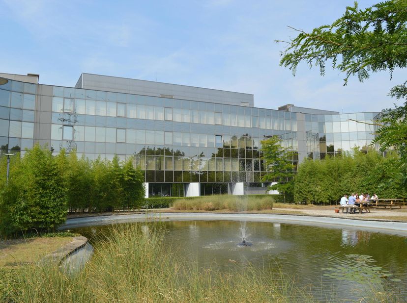Bien professionnel à louer
                    à 2070 Zwijndrecht