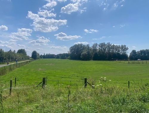                                         Landbouwgrond te koop in Berlaar, € 310.000
