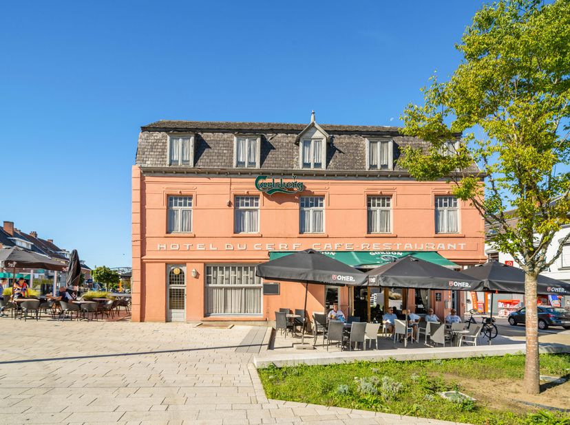Bien professionnel à vendre
                    à 3580 Beringen