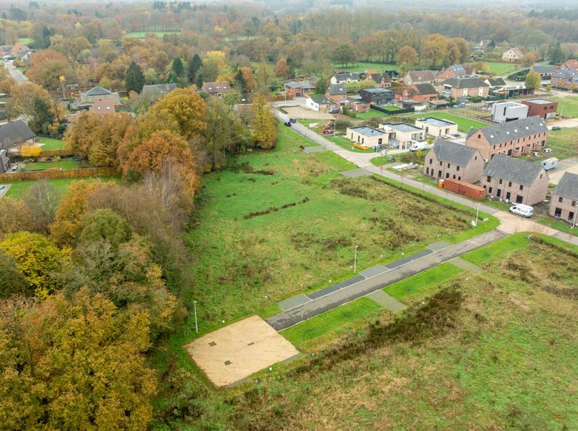 In onze nieuwe woonbuurt in Engsbergen bij Tessenderlo biedt Danneels in deze tweede verkoopfase nieuwe bouwgronden te koop aan. &lt;br /&gt;
&lt;br /&gt;
De perc