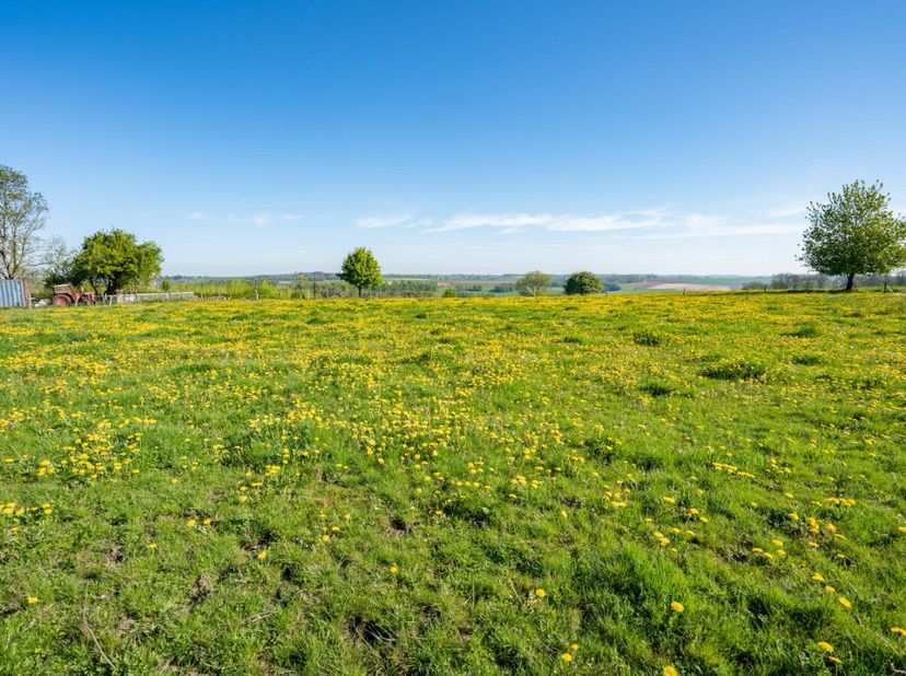 ERA B-LUX stelt u graag dit prachtige bouwperceel voor, gelegen in Bende, een deelgemeente van Durbuy.Met een oppervlakte van 1.269 m² beschikt dit pe