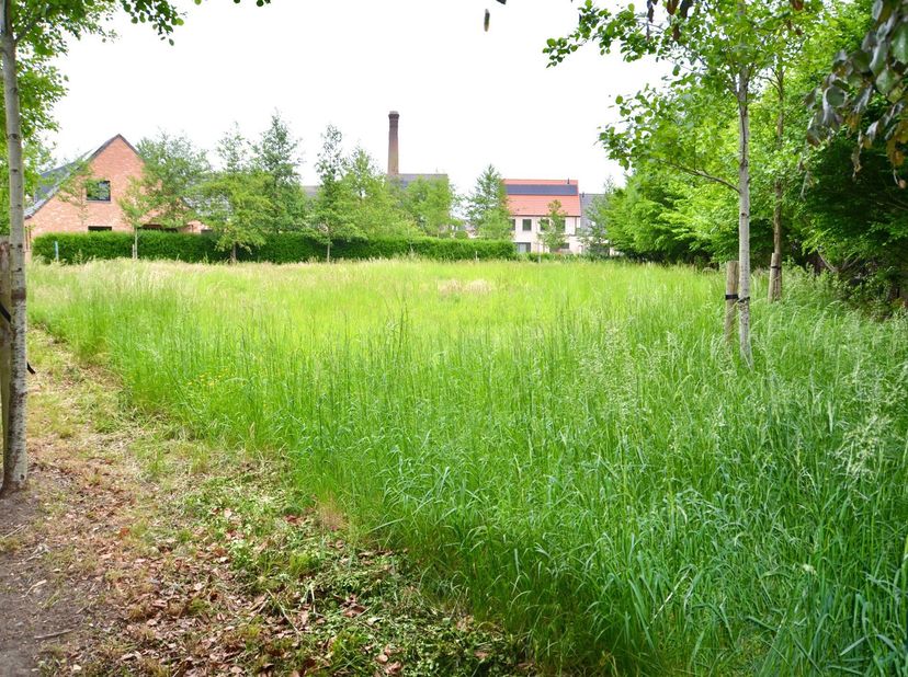 Bouwgrond te koop: 14a23ca - Rustige ligging. Deze ruime grond van 14a23ca bevindt zich in de tweede rij, wat zorgt voor extra privacy en rust. De gro