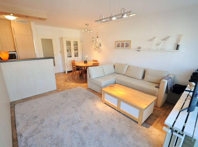 Zuidgerichte studio met zijdelings zeezicht op 50m wandelafstand van de zeedijk Albertstrand &amp; Lippenslaan.&lt;br /&gt;
Indeling: inkomhall, badkamer, toile