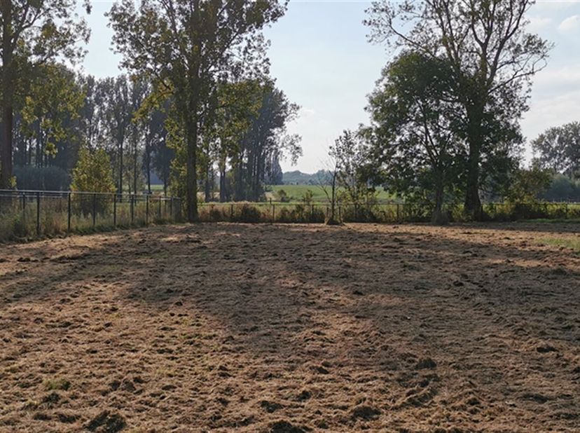 Mooi rechthoekig perceel bouwgrond, heeft een oppervlakte van 7a61ca, gekend als loten 1 en 3 van een goedgekeurde verkaveling, is gelegen in Zarlardi