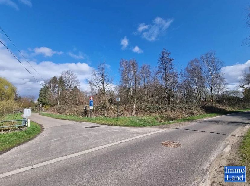 Perceel grond van 75are, gelegen in agrarisch gebied op de grens Hasselt - Diepenbeek, omgeving Mombeekdreef. - Dit perceel is gelegen op de hoek van