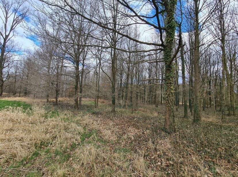 Terrain à vendre
                    à 3150 Haacht