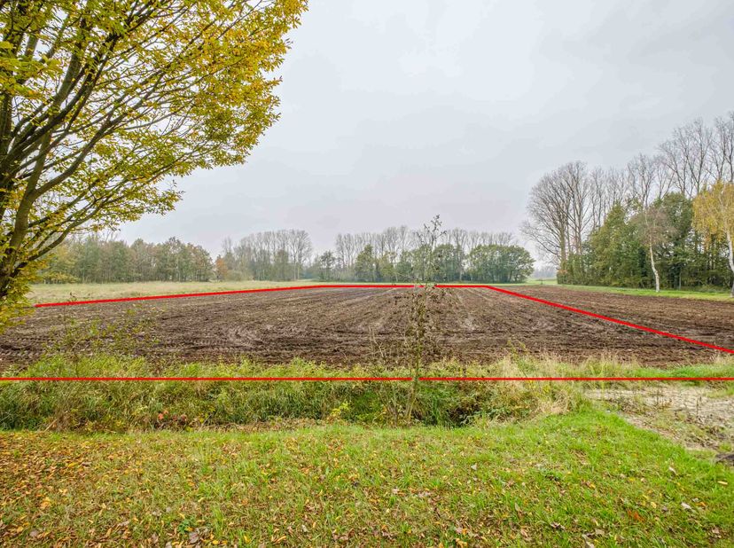 Terrain à vendre
                    à 2460 Lichtaart