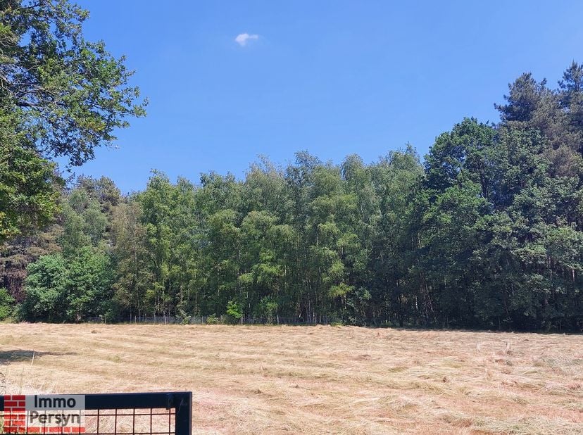 Nabij het grote  natuurgebied &quot;Gerhagen&quot; vinden we deze bosgrond van maar liefst 10.857m². Via een zandweg is er de mogelijkheid om met een auto het b