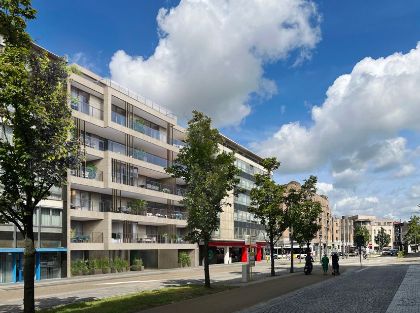 Aan de Schiervellaan, op de kleine ring in Hasselt vindt u Residentie Heritage, een exclusief woonproject waar stijl en comfort samenkomen. Dit kleins