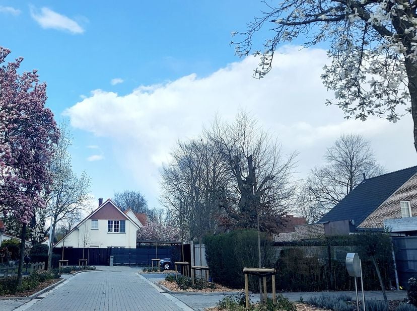 Maison à vendre
                    à 9320 Nieuwerkerken