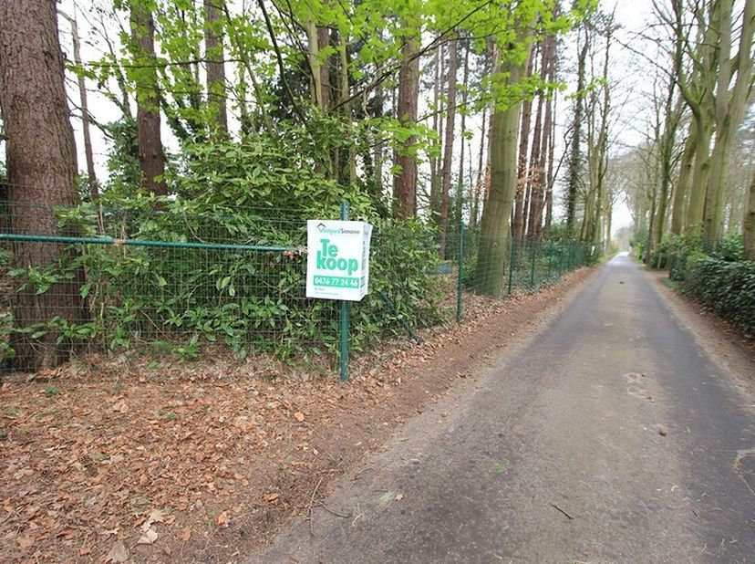 Zéér rustig gelegen perceel grond met een oppervlakte van 2040 m². Dit volledig te renoveren vakantieverblijf is gelegen in de Lange dreef 6 te Jabbek