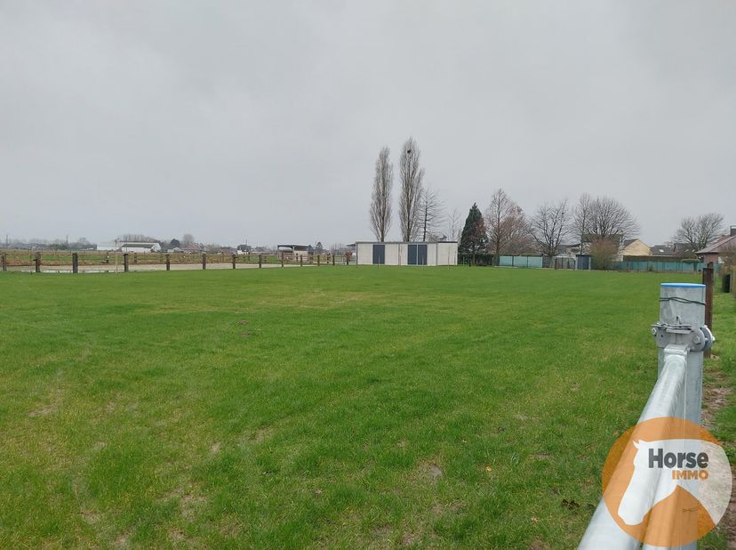 LEDE- Volledig aangelegde weide met praktisch stalgebouw in groene omgeving nabij Lede&lt;br /&gt;
Bent u op zoek naar een idyllische plek voor uw paarden o