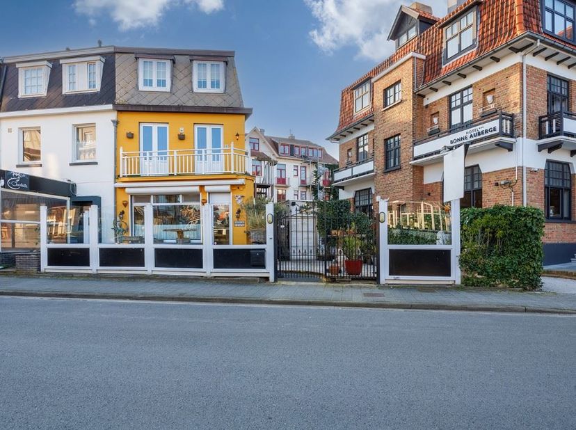 Bien professionnel à vendre
                    à 8420 Klemskerke